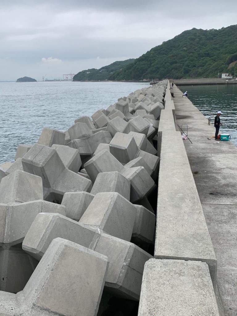 大室漁港の釣り禁止は本当か？2026年最新の立ち入り状況と真相