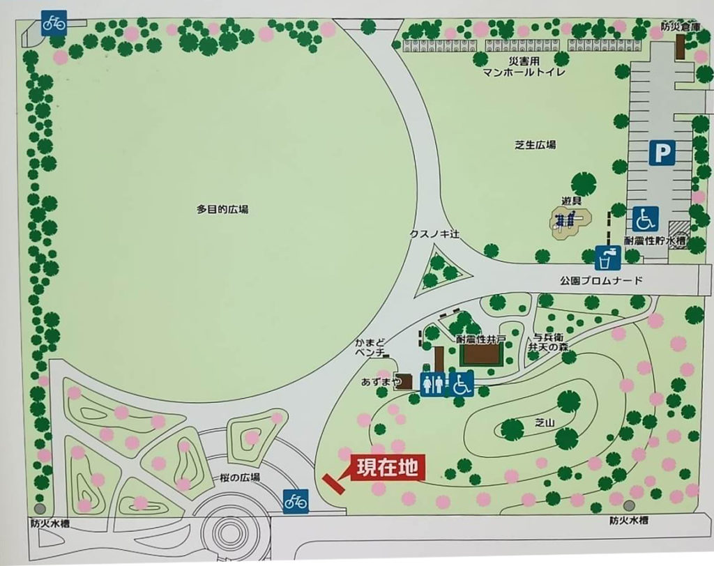 谷津奏の杜公園の魅力と注意点｜駐車場・遊具・混雑攻略の完全ガイド