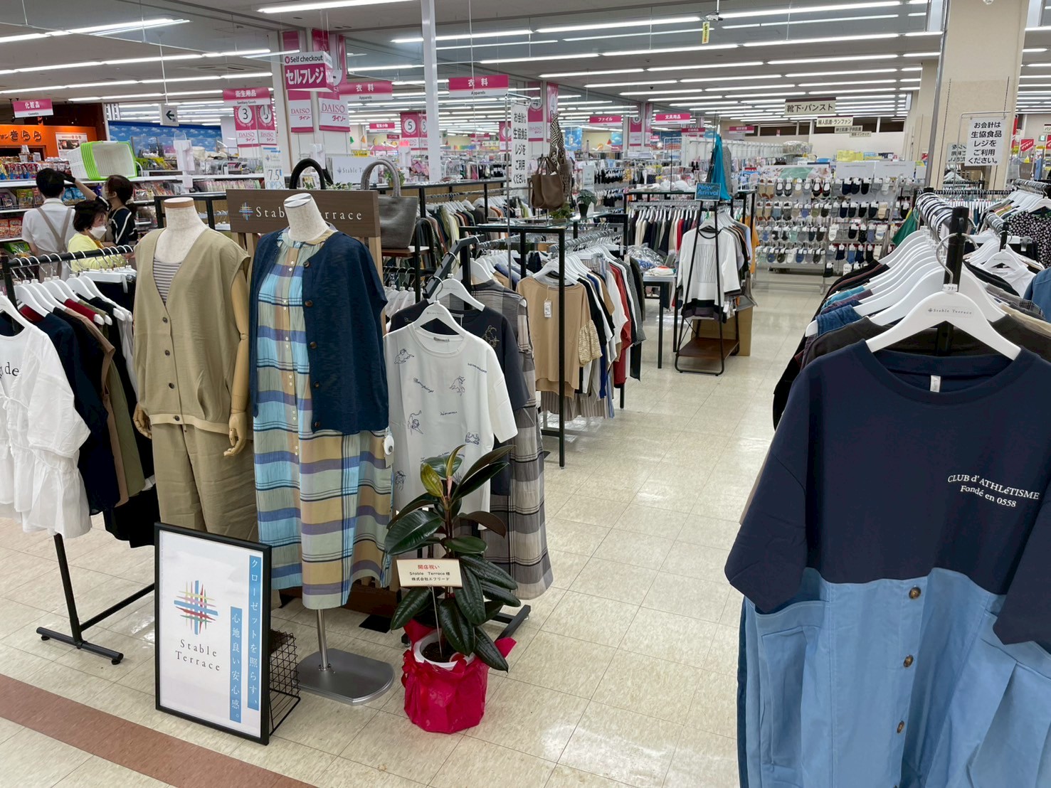 みやぎ生協加賀野店の最新チラシ特売と評判！2026年の混雑回避術