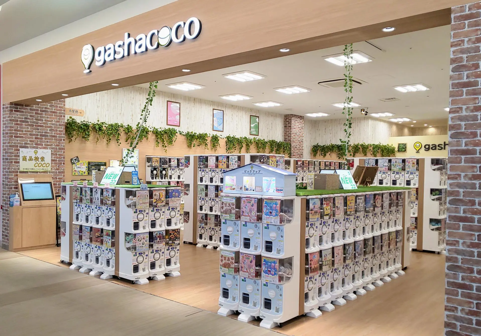 エキスポシティのガチャガチャ完全攻略！売り場と穴場設置場所