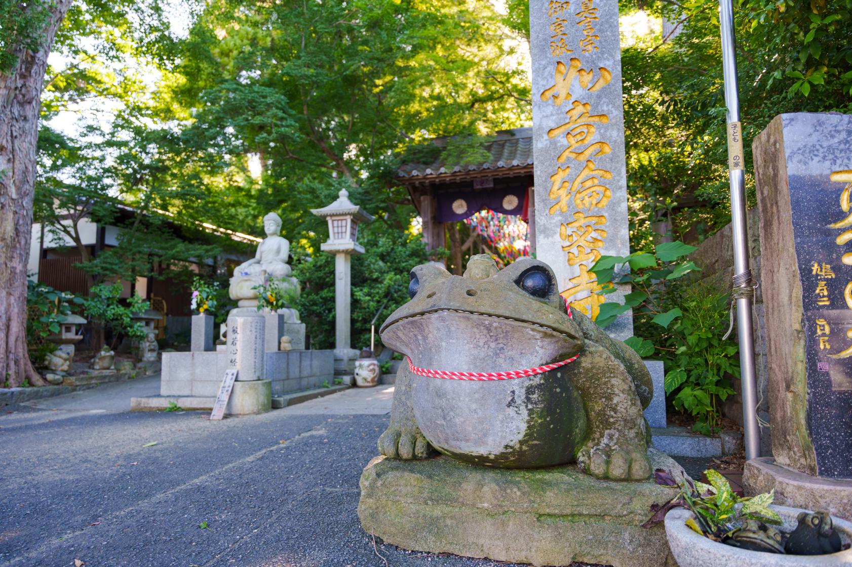福岡小郡「かえる寺」如意輪寺の真実！1万匹の蛙とご利益を徹底解剖
