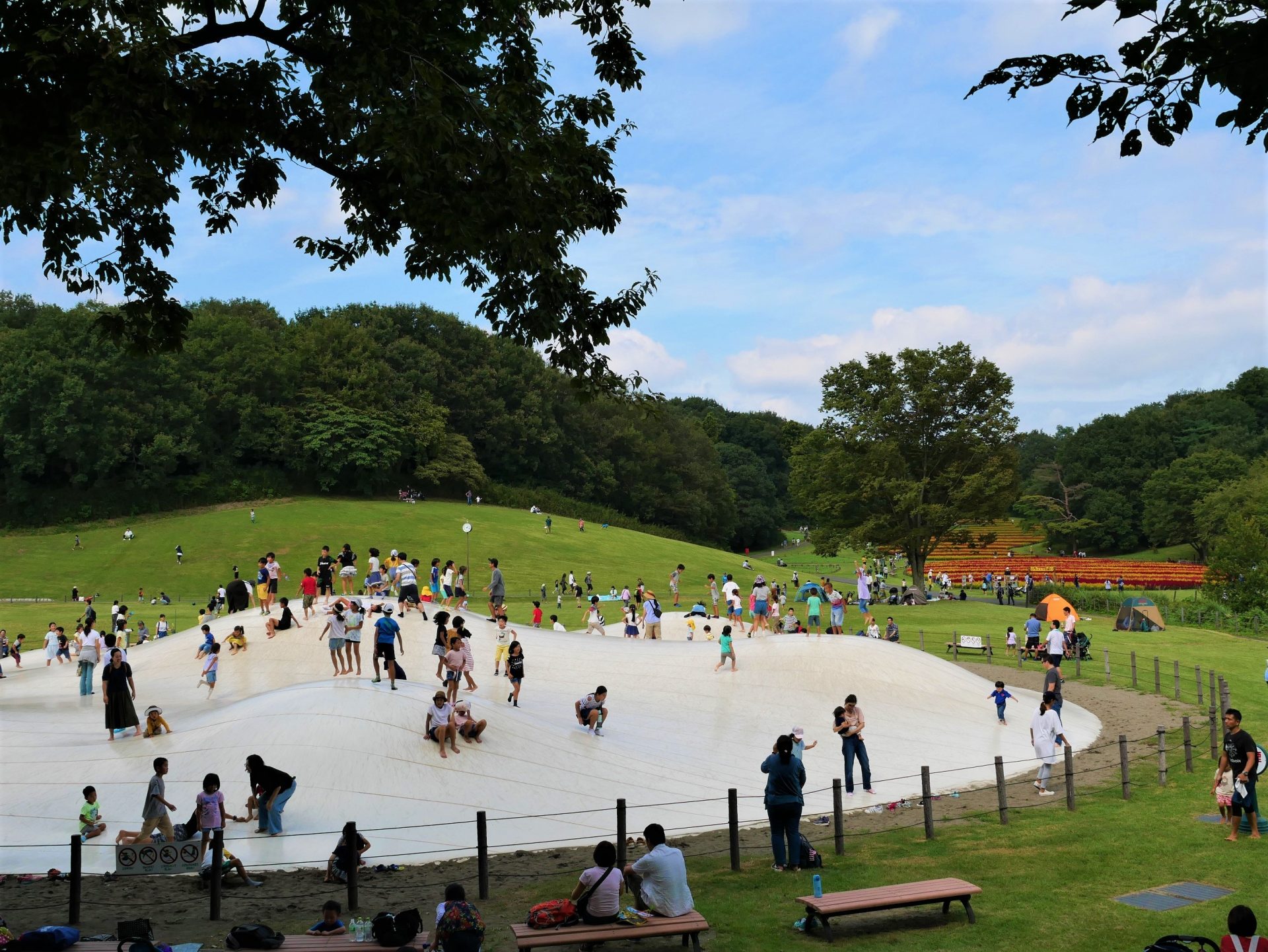 埼玉の森林公園完全攻略2026｜混雑回避と失敗しない回り方を徹底検証