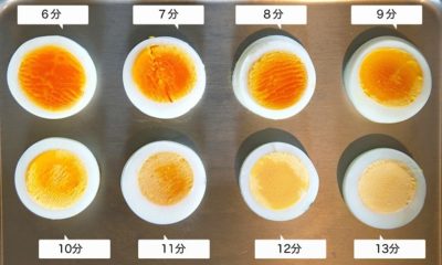 【画像あり】 卵 賞味 期限切れ いつまで 気になる噂と真相 #698