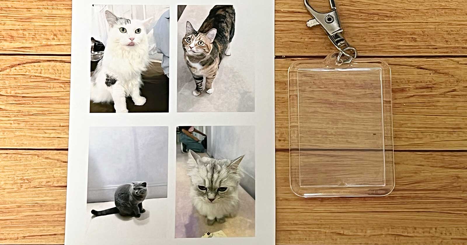 100均フォトキーホルダー比較！セリア売切れの真相と推し活自作術