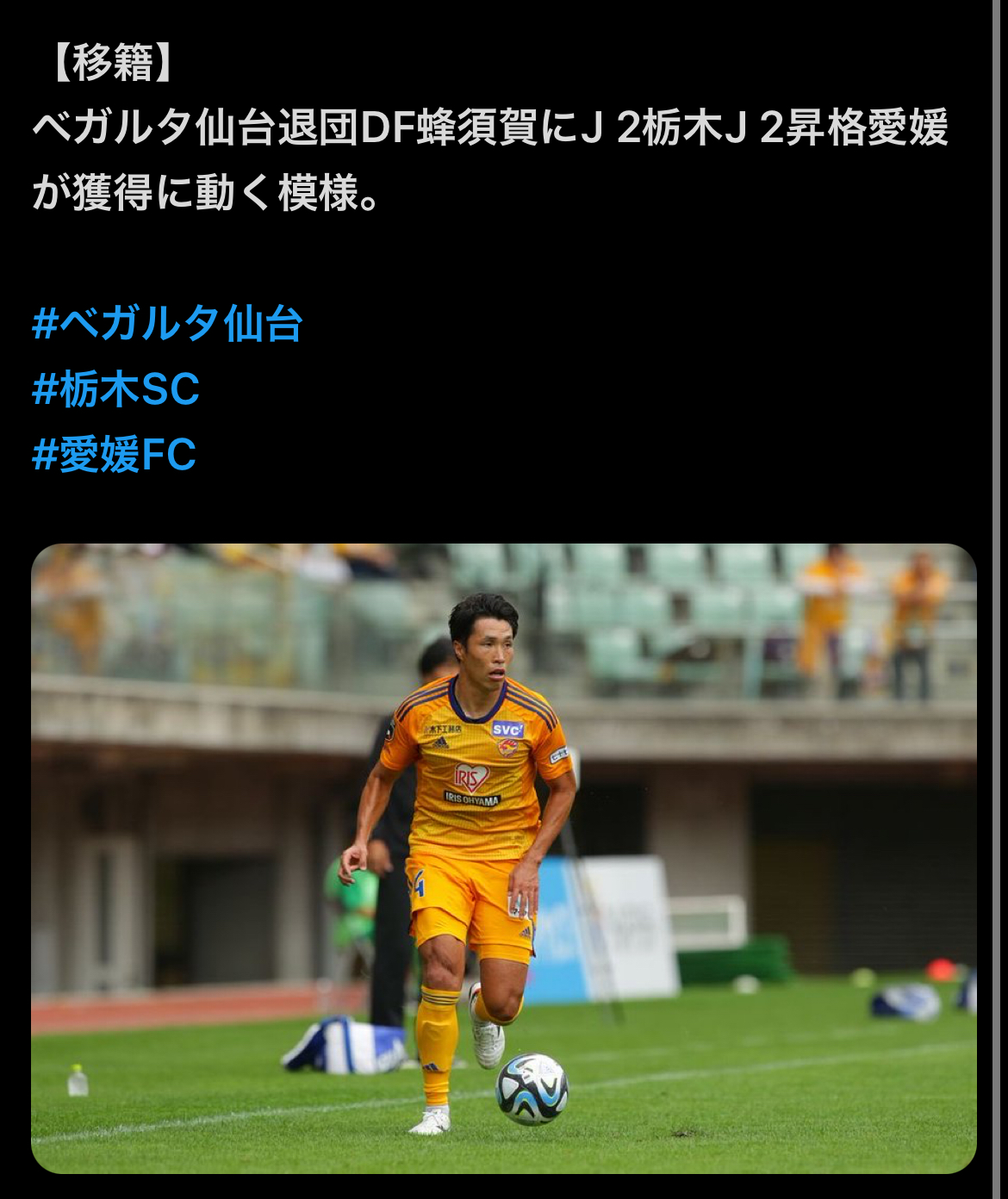 愛媛Fc掲示板が騒然とする噂の真相と2026年最新の補強・監督進退