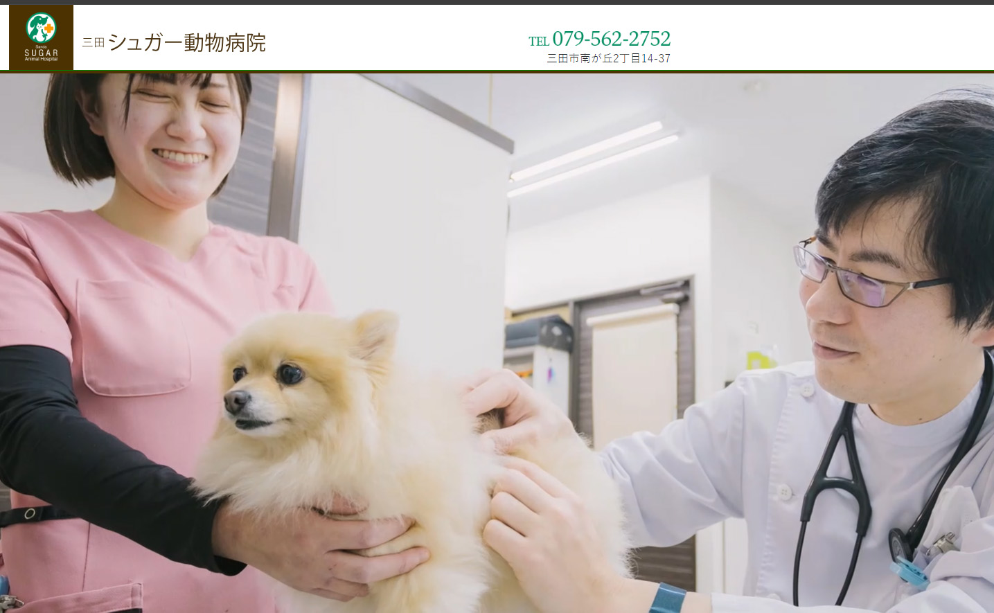 シュガー動物病院の口コミ評判と実態検証！診療費目安や予約の盲点を解説