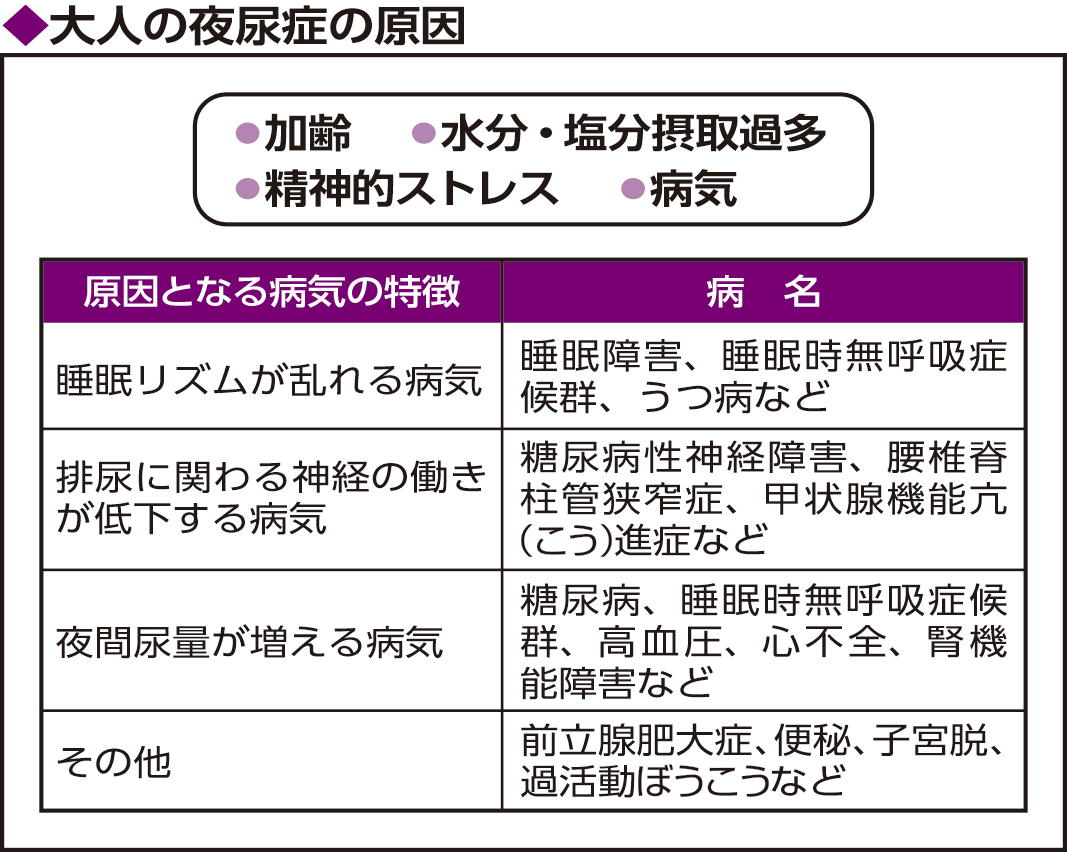 大人のおねしょの原因とは？病気サインの見極めと最新治療・受診目安