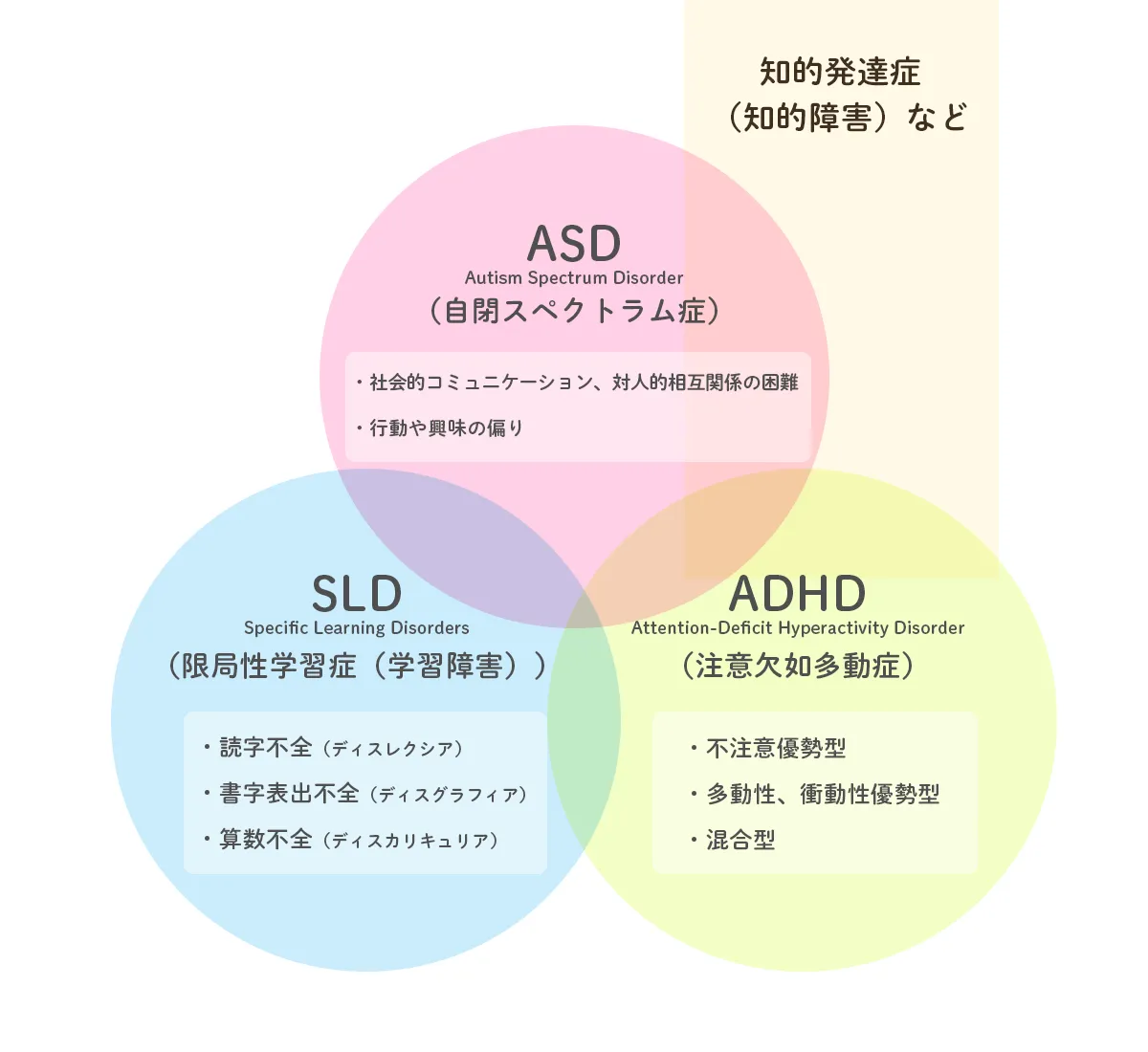 自閉症診断はなぜ“迷宮化”するのか？2026年最新の診断フローと費用、大人と子どもの分岐点