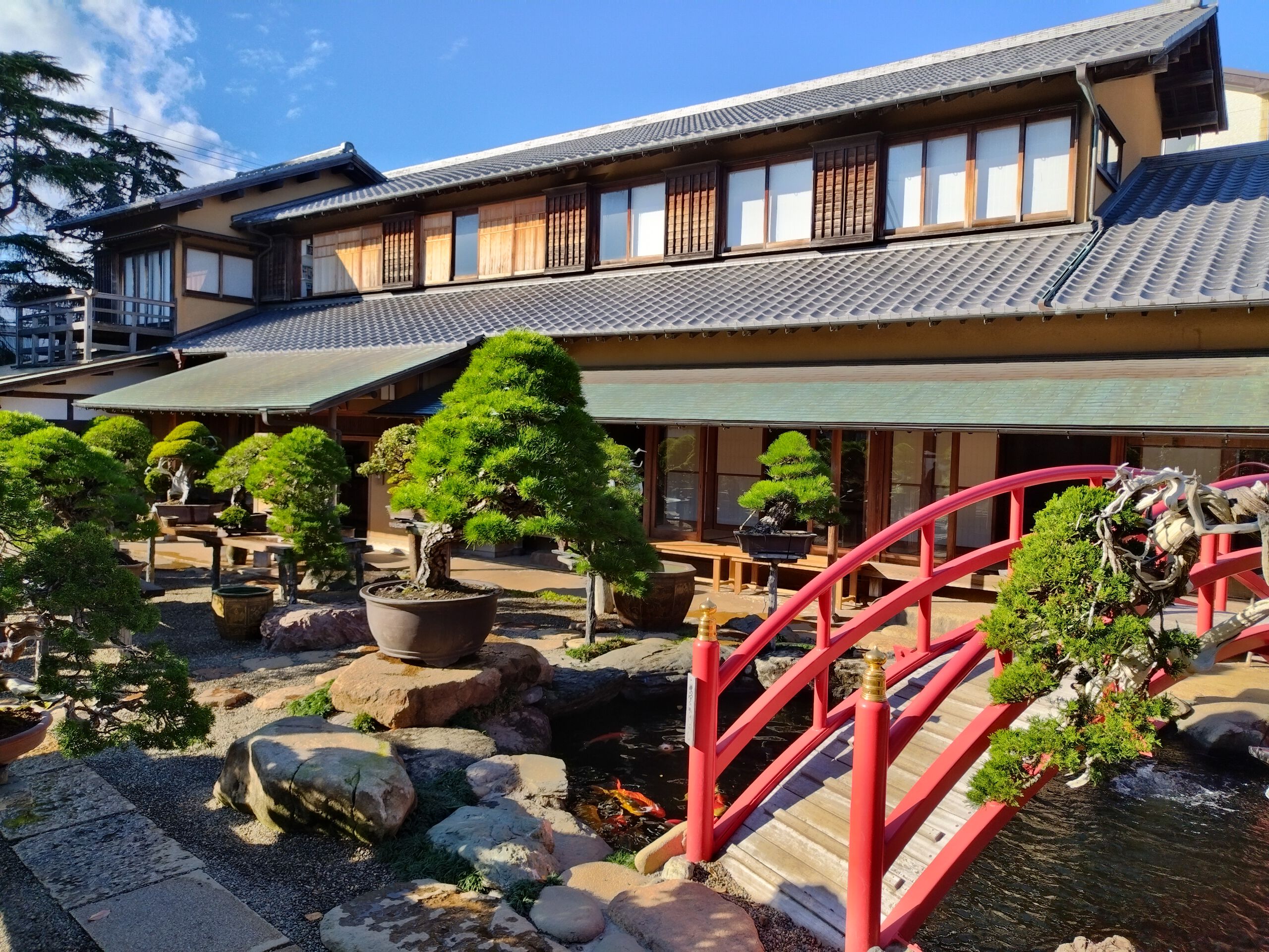 春花園Bonsai美術館の現在｜億超え盆栽の真相と見どころ解剖