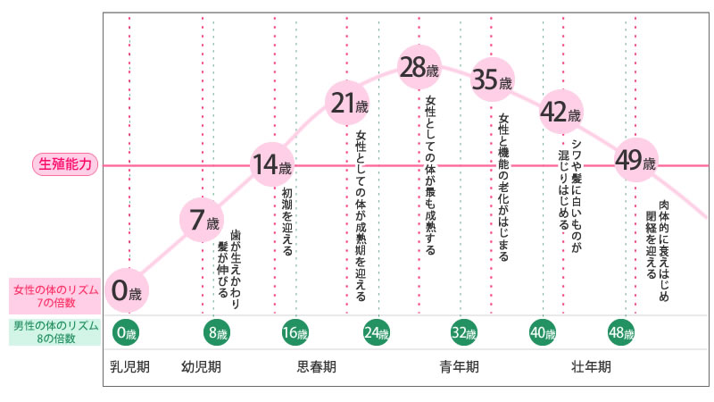 【2026年最新】35歳・42歳で体調が激変する理由とは？「女性 7 の 倍数」に潜む身体のシグナルと東洋医学の知恵