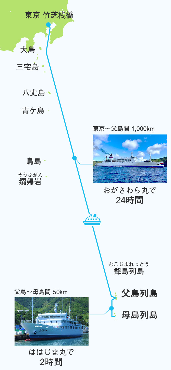 小笠原諸島への行き方完全ガイド｜船旅24時間と飛行機で行けない理由