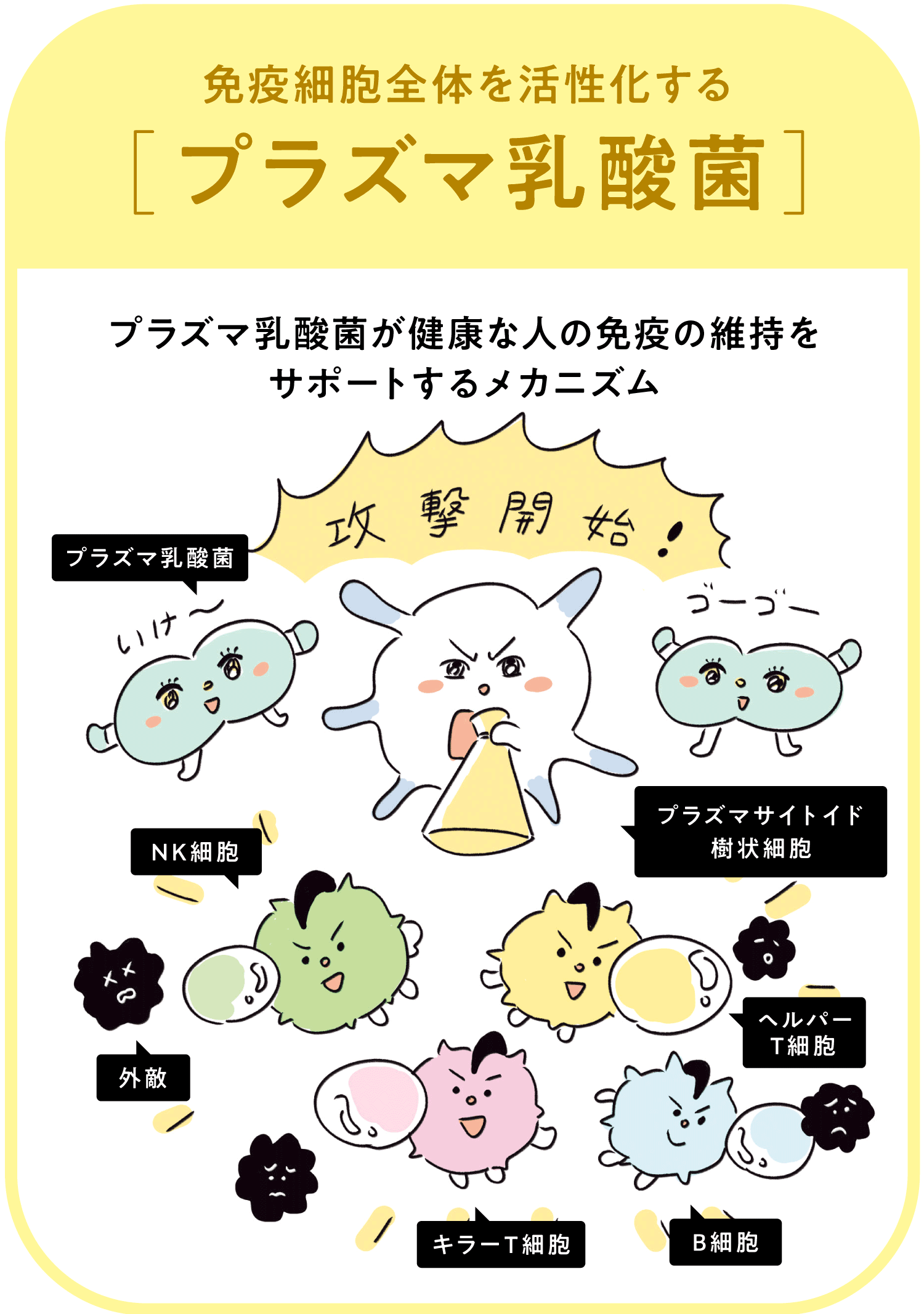 プラズマ乳酸菌とは？普通との違いや免疫ケアの仕組みを徹底解明