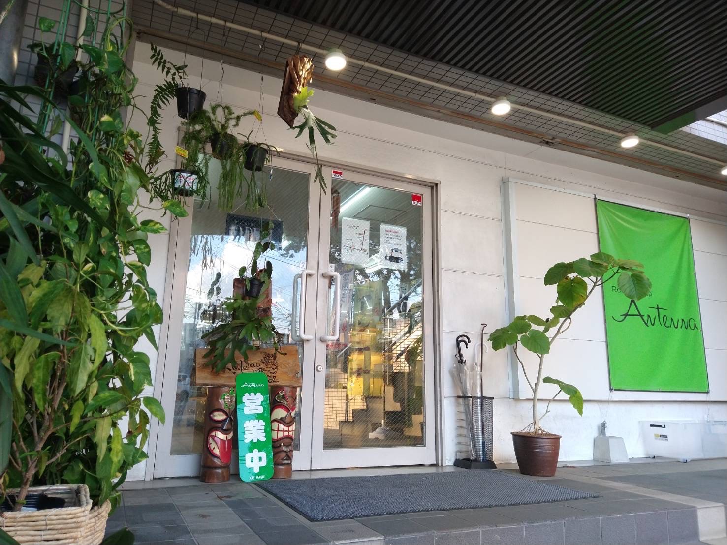 【2026最新】福岡の爬虫類ショップ徹底比較！名店から穴場まで厳選