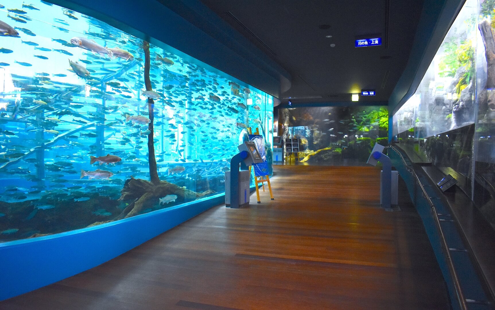 森の中の水族館が選ばれる理由と2026年最新攻略ガイド