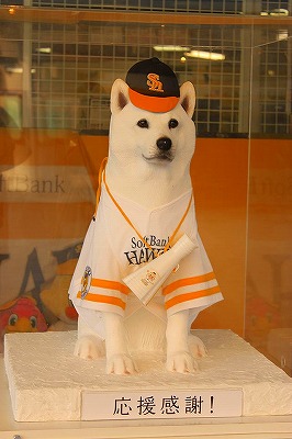 【最新】 ソフトバンク 犬 の 声 徹底解説＆真相まとめ #840