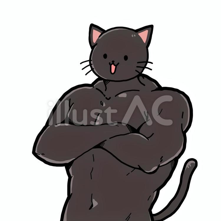 Sns拡散中の筋肉猫！マッチョに見える衝撃の真相と獣医の解説