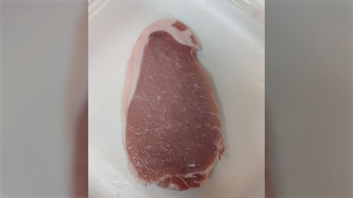 ペンギン肉は本当にまずい？南極探検隊の壮絶食レポと味の真相に迫る