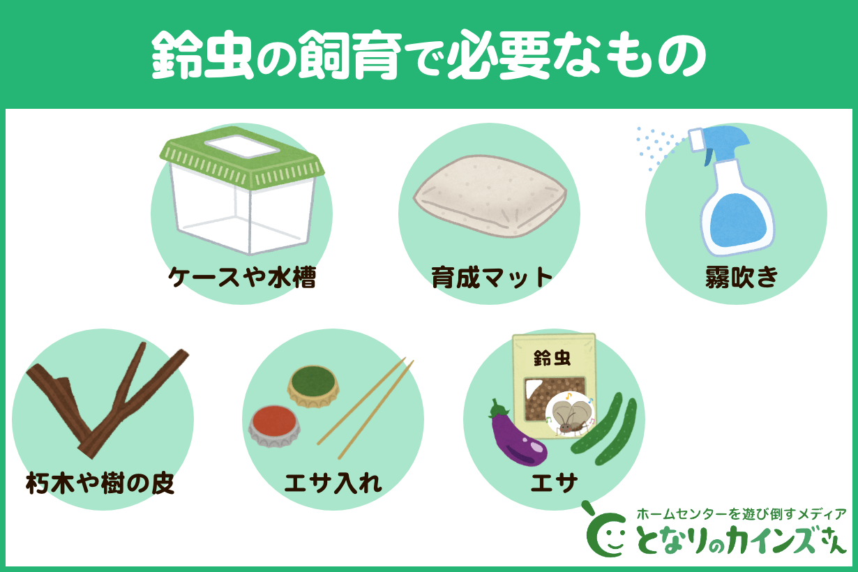 鈴虫の飼い方で失敗しない決定的理由｜寿命が変わる湿度とエサの最適解を専門編集部が徹底解説