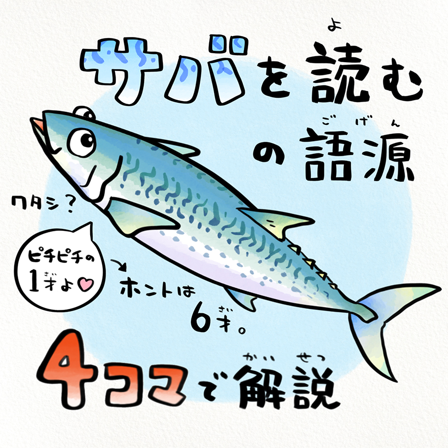 サバ読みとは？魚の語源や年齢・身長をごまかす心理とリスクを徹底解説