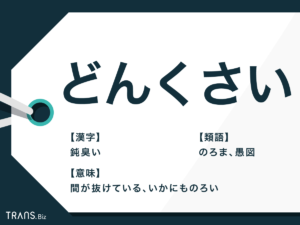 【速報】 どん くさい と は 公式インスタ・X最新情報 #944