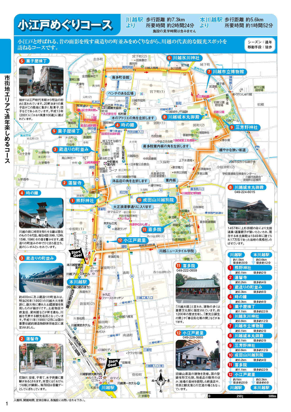 満開の秋桜を楽しむコスモス栽培！咲き誇る植え方と摘心の秘訣