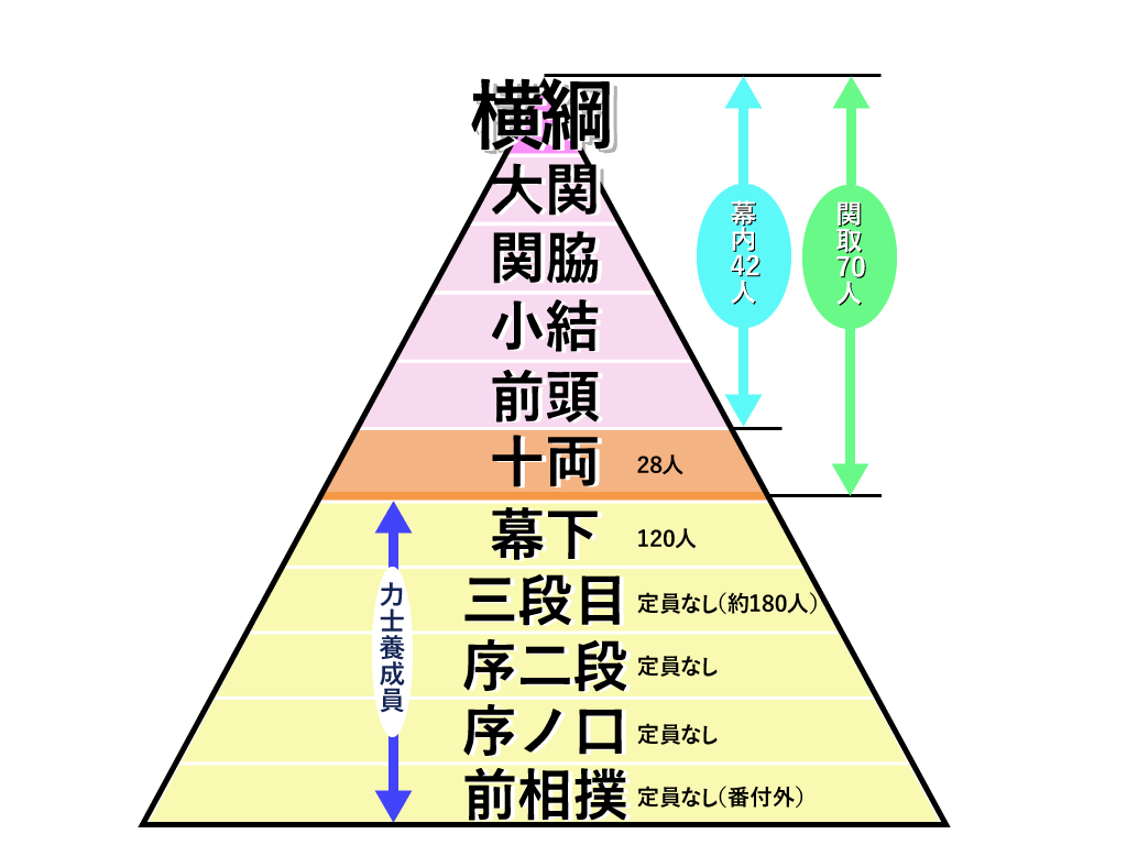 関取とはどの階級から？幕下以下との給料格差や驚きの特権を徹底解剖