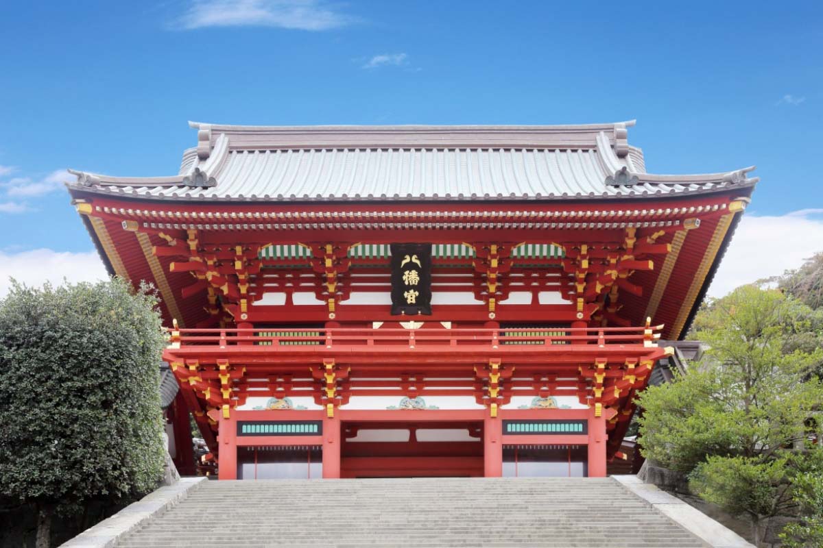 鶴岡八幡宮2026完全取材！大銀杏の現在と知られざる勝運の真相