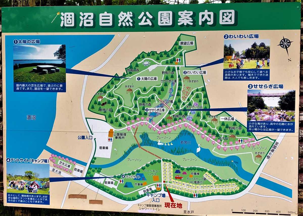 涸沼自然公園キャンプ場の実力検証！予約の真相や料金・混雑対策