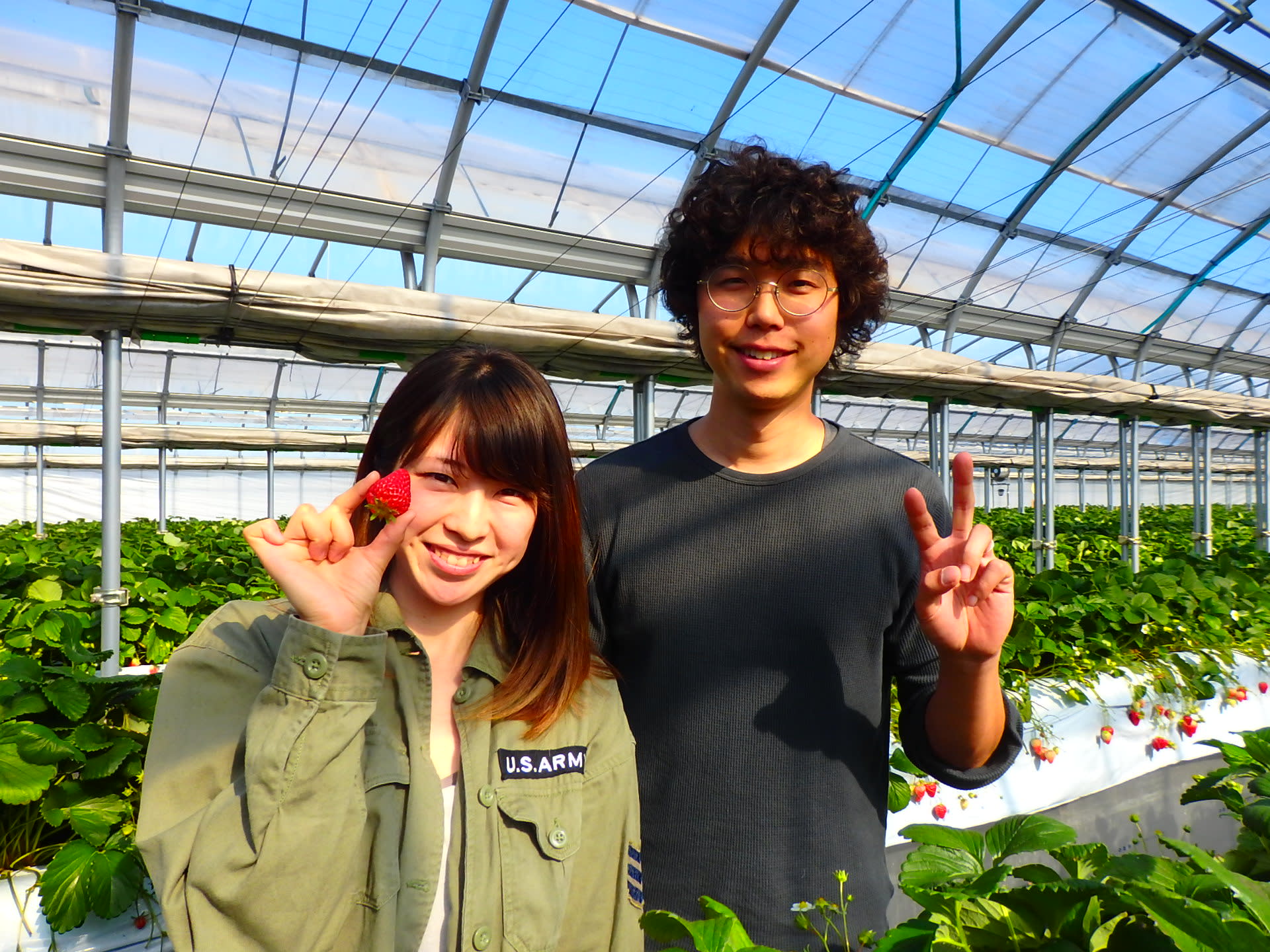 木更津マンモスいちご園2026攻略！予約なしの真相と料金・食べ比べ徹底解説
