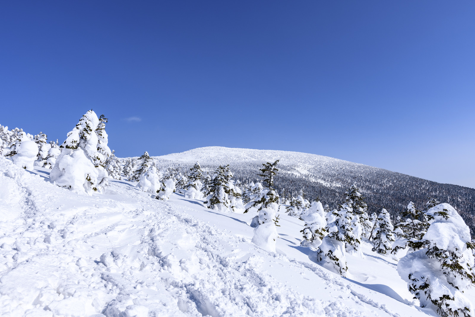 積雪量世界一は日本！歴代ギネス記録と豪雪地帯ランキングの全貌