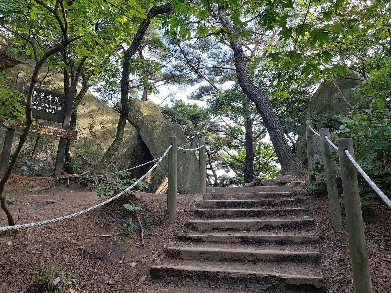 ソウル発の喧騒を逃れて。2026年、日本の旅人が「山清」で目覚めさせる五感とウェルネスの真諦
