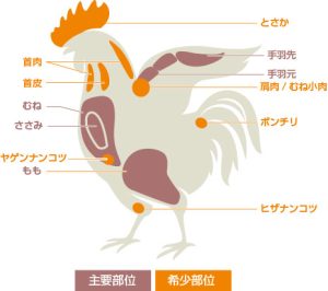 【噂】 鶏 胸 肉 プリン 体 私服＆私生活最新ショット #652