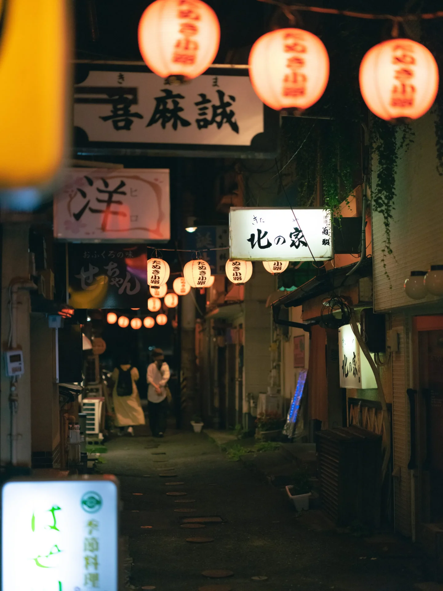 八戸の居酒屋を完全攻略！名店と横丁を巡る食通おすすめの決定版