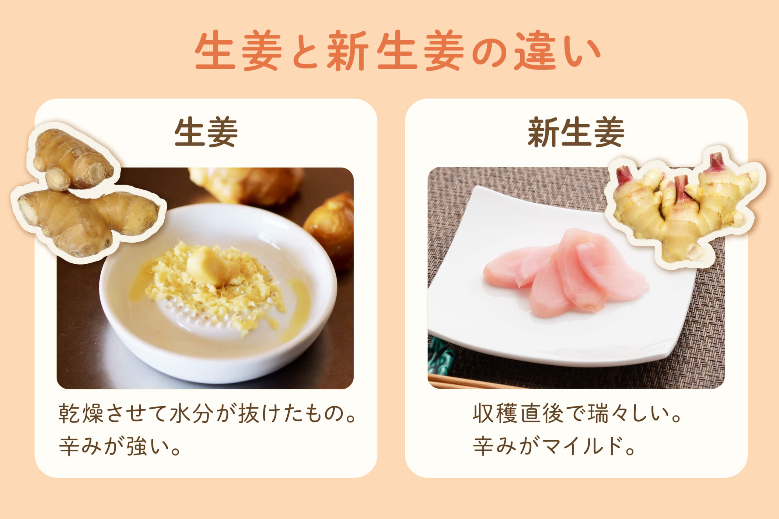 新生姜と生姜の違いとは？旬の時期・辛さ・栄養や使い分けを徹底解説