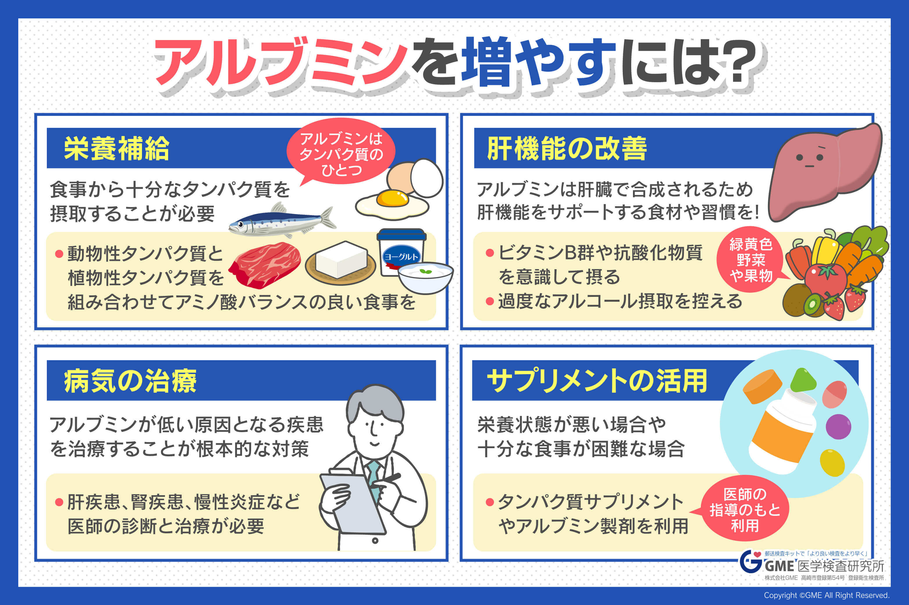 アルブミンとは？血液検査の数値が示す寿命リスクと改善策