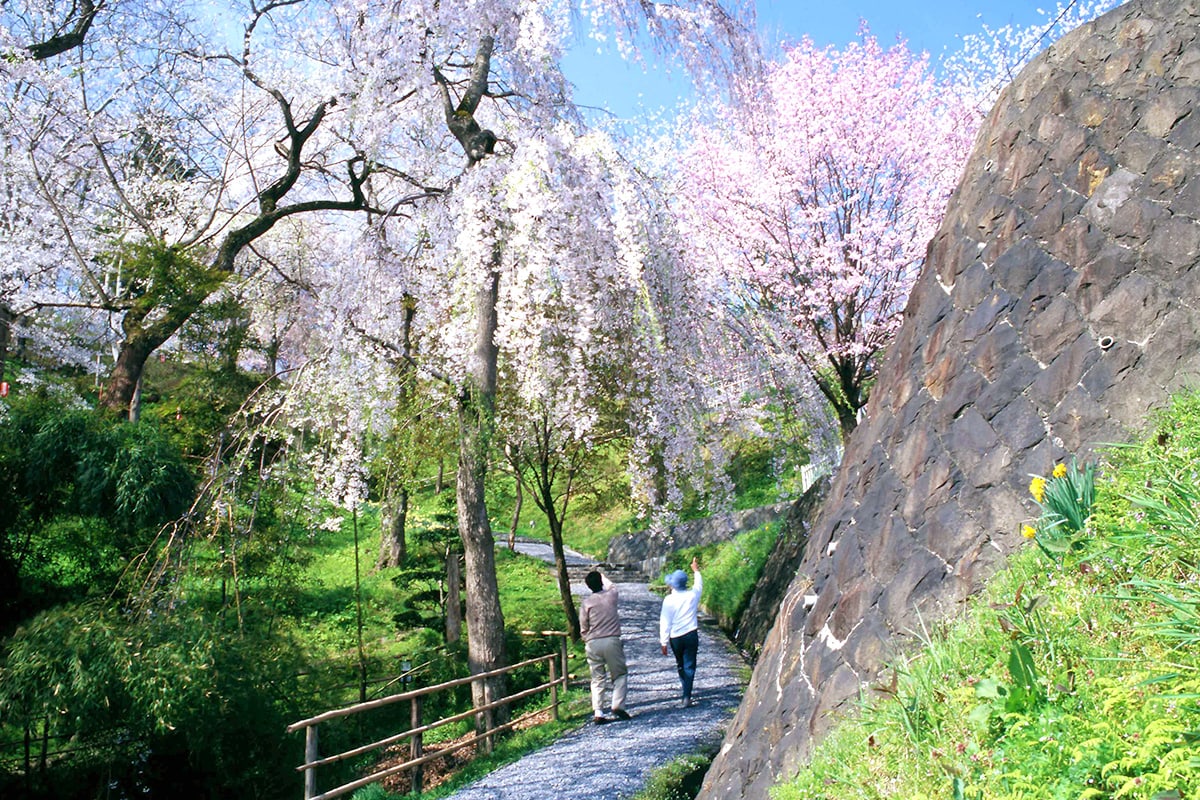 2026年、素通りは絶対もったいない！一ノ関駅から始まる岩手・南部の極上絶景と進化系「餅グルメ」完全ルポ