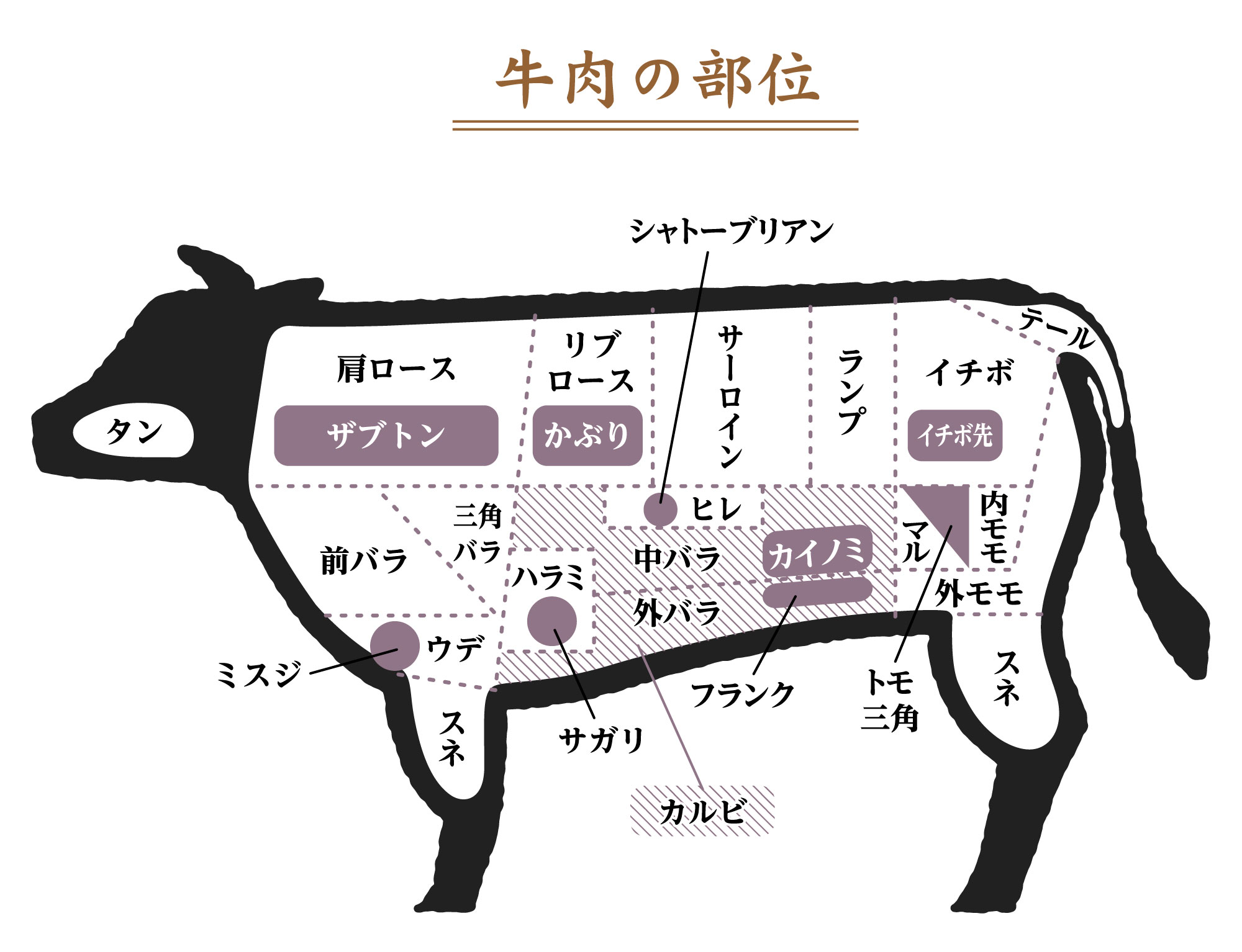 牛肉の部位一覧完全ガイド！カルビとロースの違いや希少部位の選び方