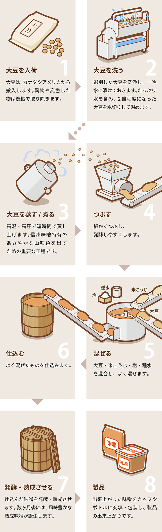 味噌とは？麹が織りなす発酵の正体と赤白の違い・腸活効果を徹底解剖