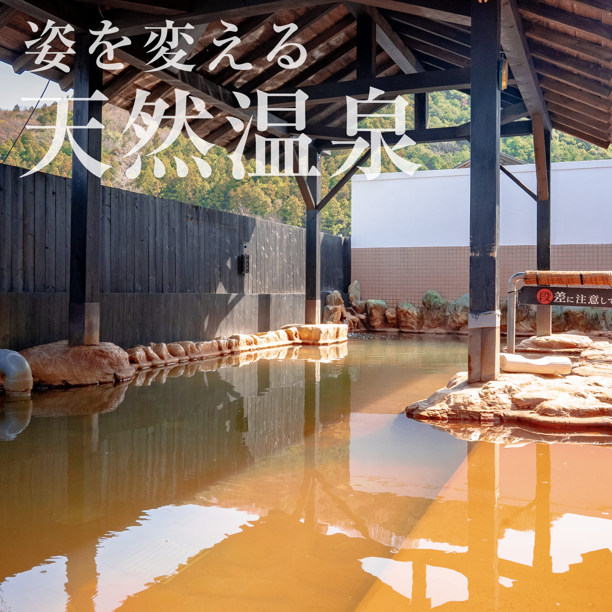 奇跡の赤褐色！おふろCafe白寿の湯が愛される理由と混雑回避術