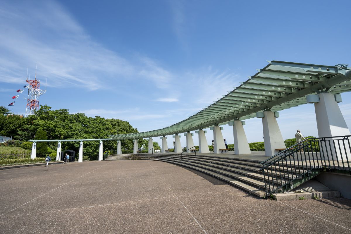 港の見える丘公園が再注目される理由！バラ見頃と夜景の穴場最新攻略
