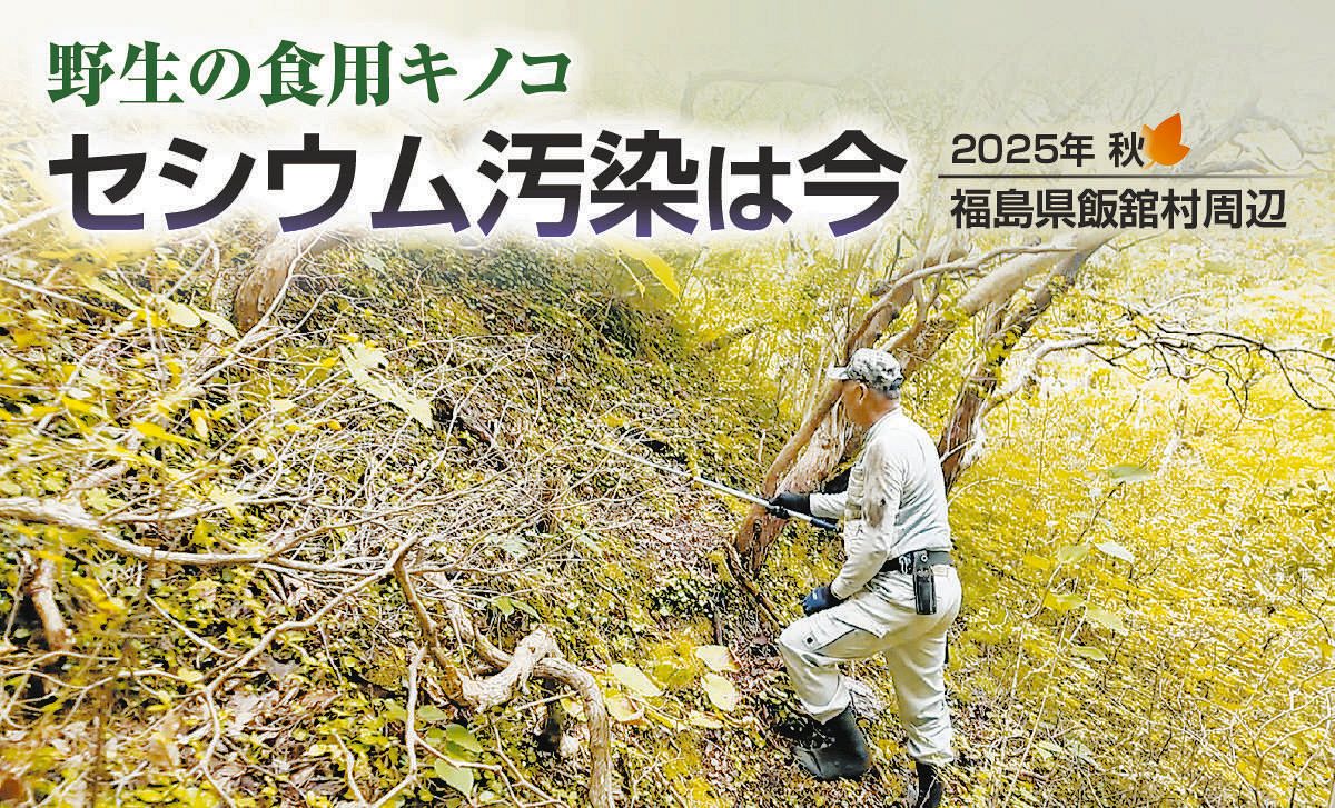 セシウムさん放送事故の真相と現在｜東海テレビを揺るがした失態の全貌