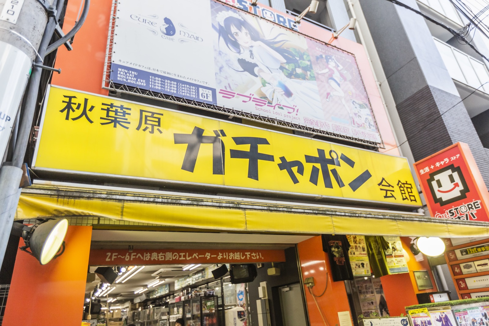 聖地・秋葉原ガチャポン会館の現在！評判と2026年最新攻略法