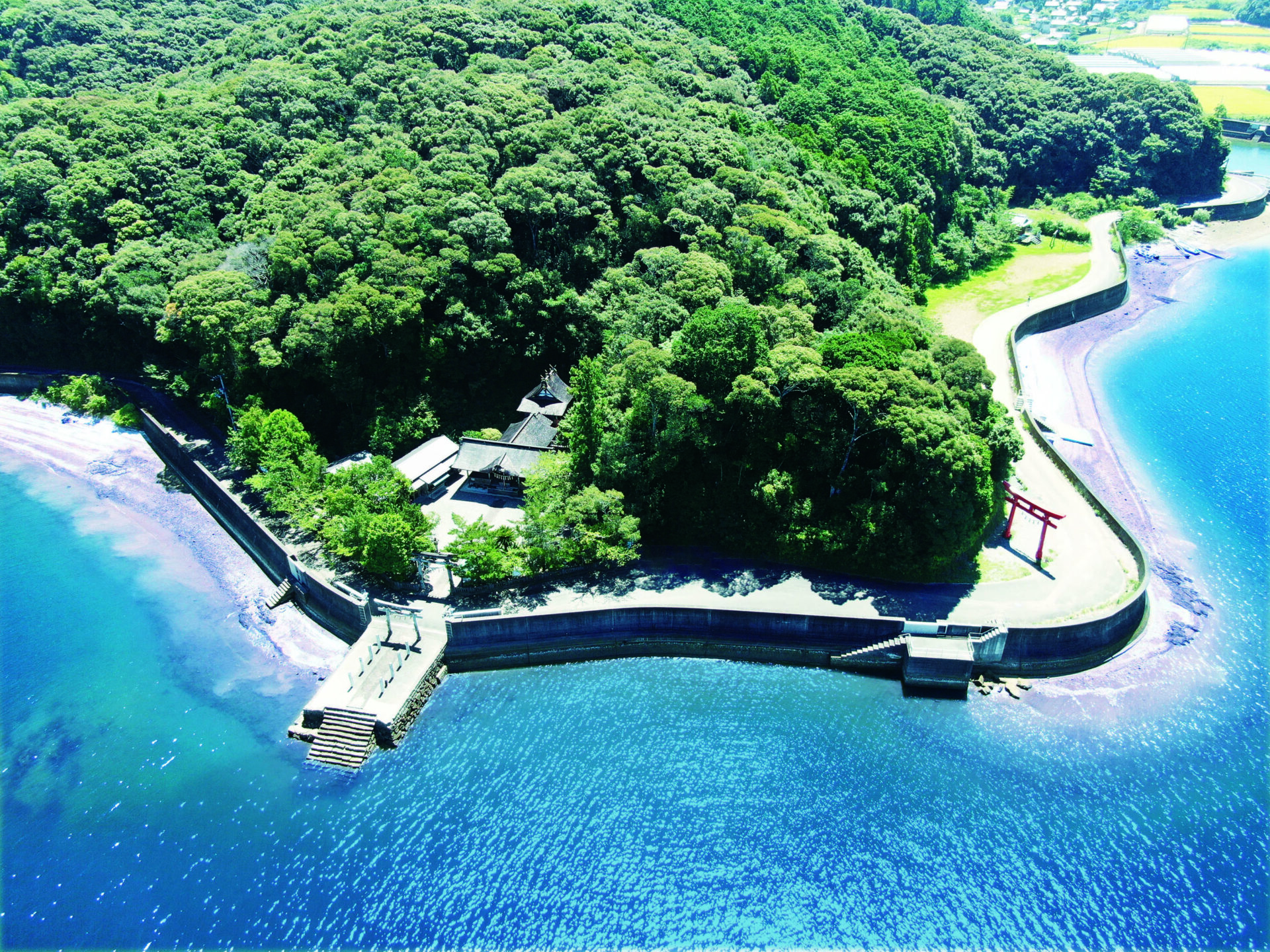 高知・鳴無神社の縁結びと海へ続く参道！絶景の秘密と参拝手順【2026】