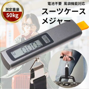 【噂】 スーツ ケース 重 さ 計り 100 均 徹底解説＆真相まとめ #753