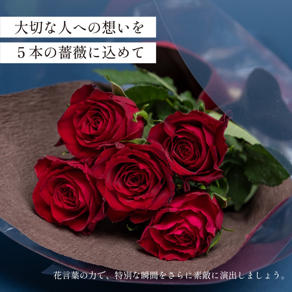 バラ5本の意味とは？出会えた喜びを伝える花言葉と本数・色の選び方