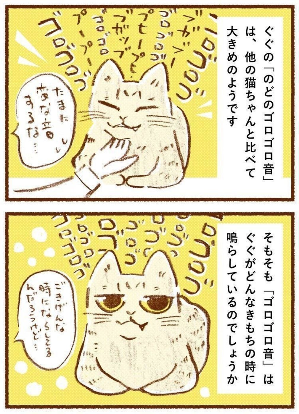 猫がゴロゴロ言う本当の理由！甘えと病気サインを見極める最新事実