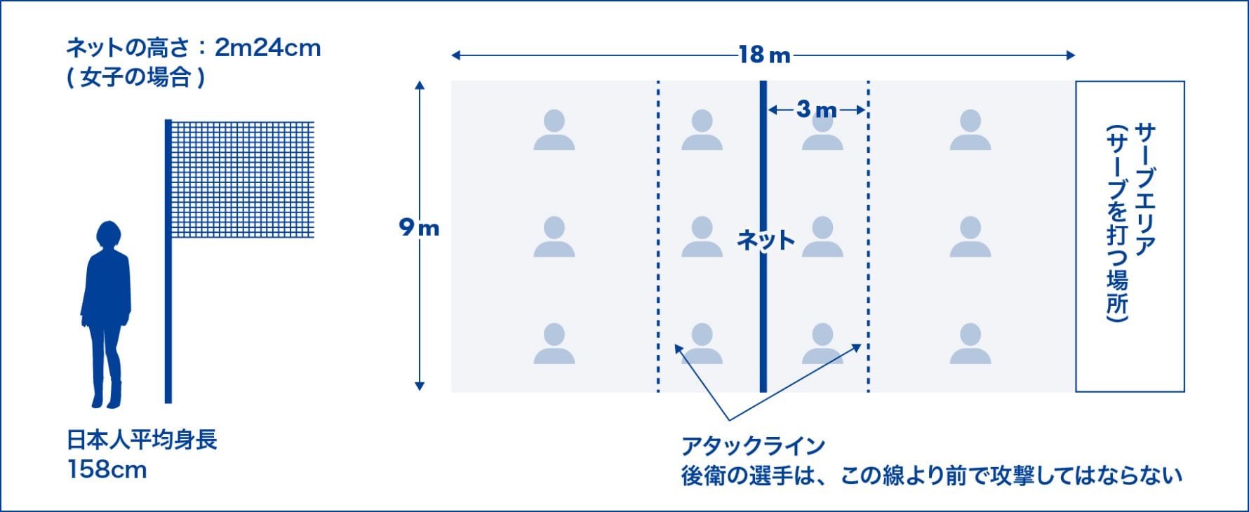 女子バレーのネットの高さは何Cm？一般・中学・小学生の公式規定と理由