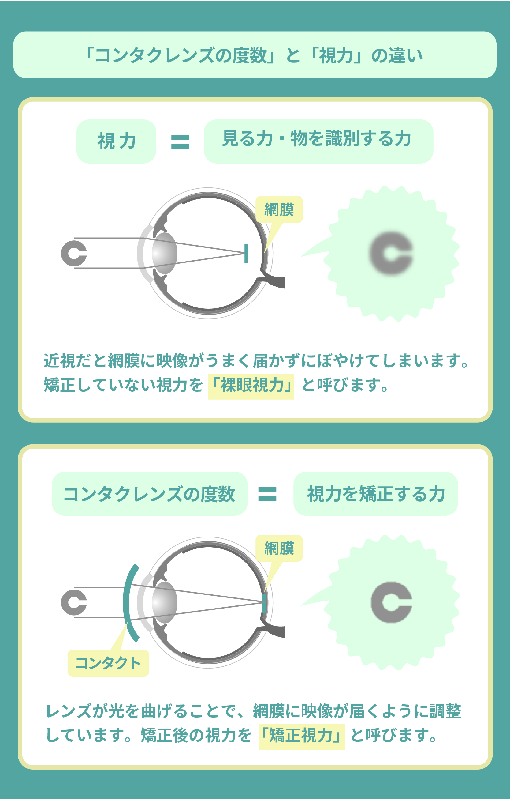 Saucy Dog「コンタクトケース」歌詞の意味と実話の真相を徹底考察