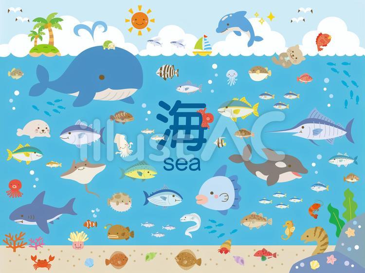 プロが教える海イラストの描き方！透明感溢れる水面と光の裏技