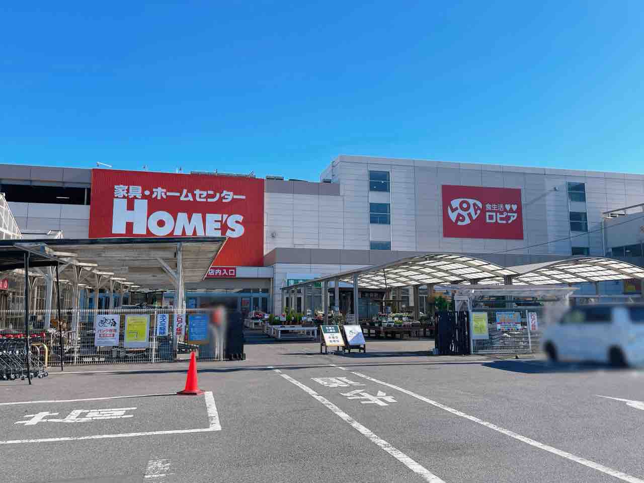 ロピア蘇我島忠ホームズ店を徹底調査！安さの裏側と賢い利用術